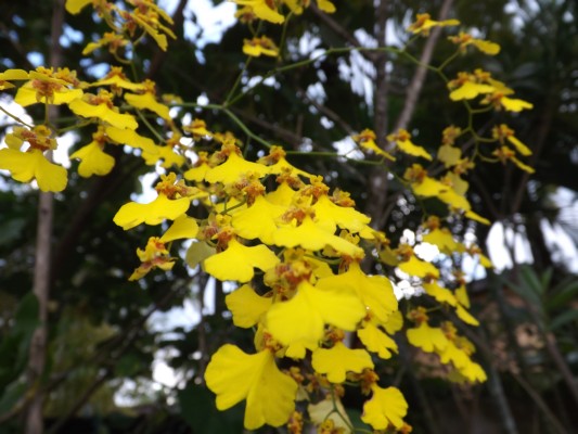 DSCF0414.JPG