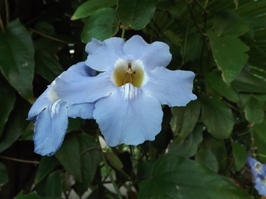 DSCF0436.JPG