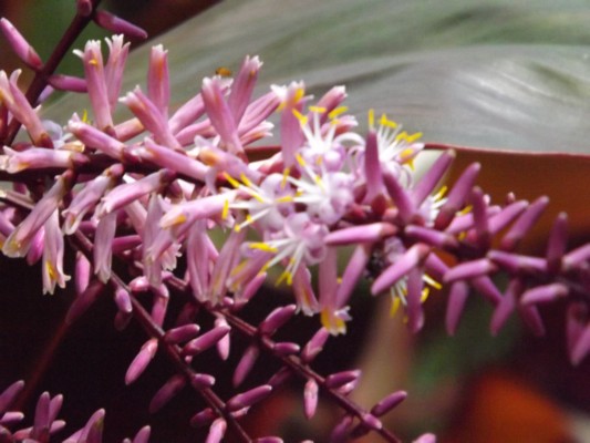 DSCF0670.JPG