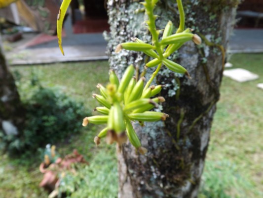 DSCF0684.JPG
