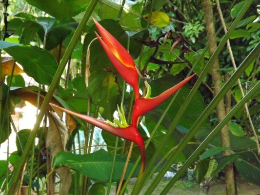DSCF0694.JPG