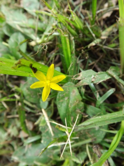 DSCF0740.JPG