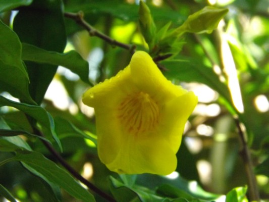 DSCF0773.JPG