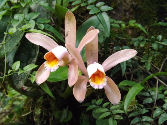 DSCF0807.JPG